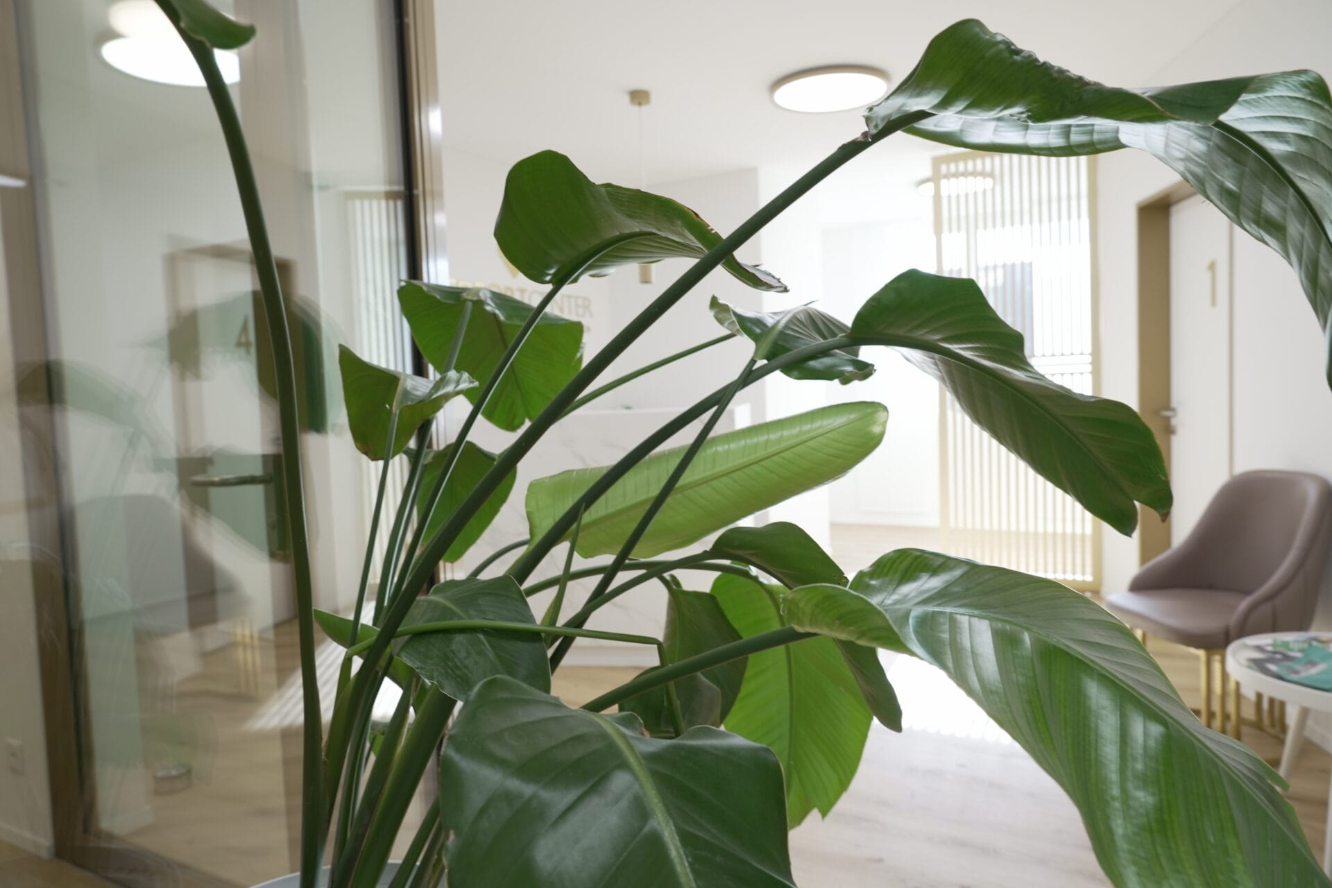 Diagnostikraum des Medport Center